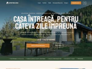 Artcetera.ro — portofoliu ZAO Media